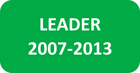 leader2007